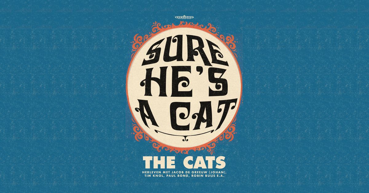 tim-knol-bas-van-holt-robin-buys-e-a-tribute-to-the-cats-sure-he
